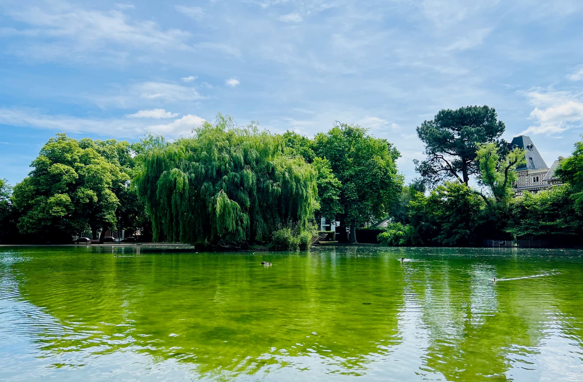 Espace extérieur du Lake House
